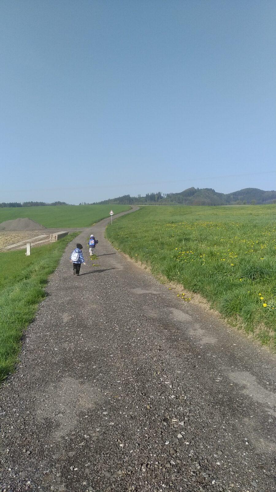 broučci: Co si brouká jarní louka... - 22