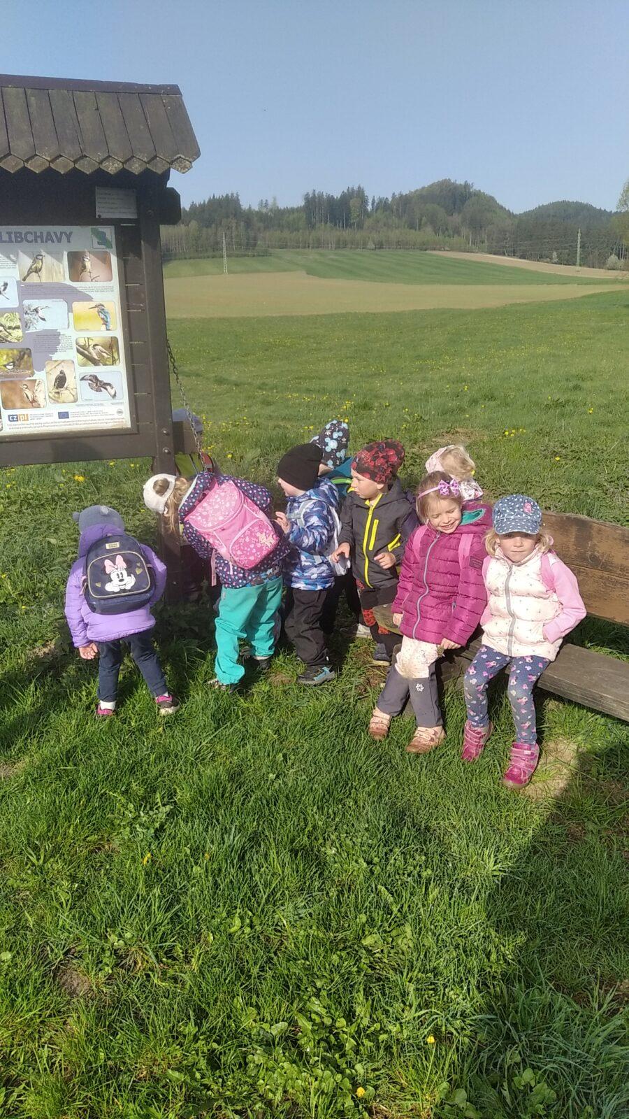 broučci: Co si brouká jarní louka... - 24