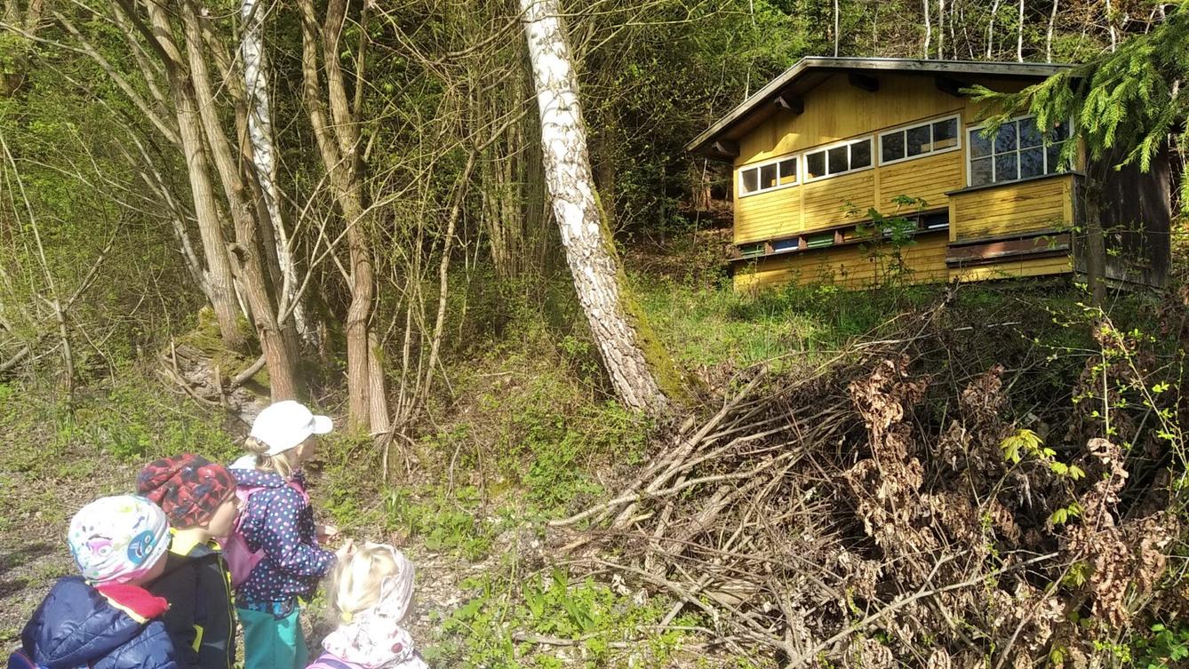 broučci: Co si brouká jarní louka... - 29