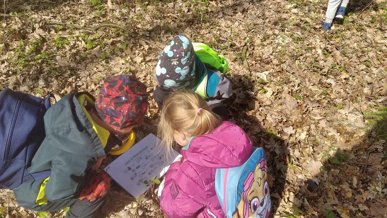 broučci: Co si brouká jarní louka... - 44