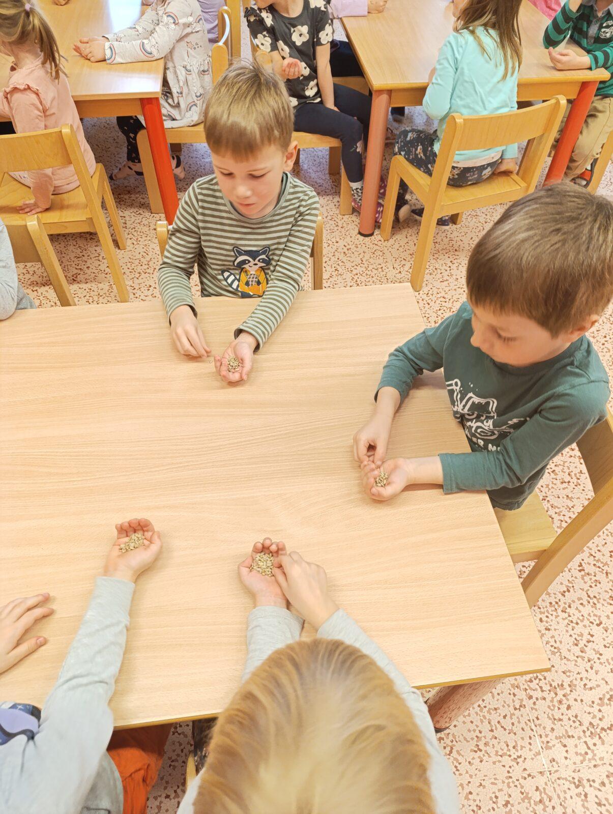 vzdělávací program v mš „ptáci“ - 25