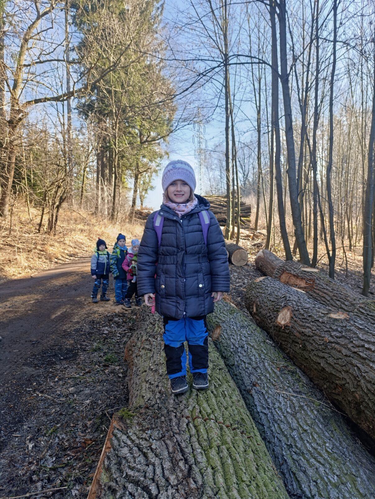 broučci a sovičky: „cestou necestou...“ - 41