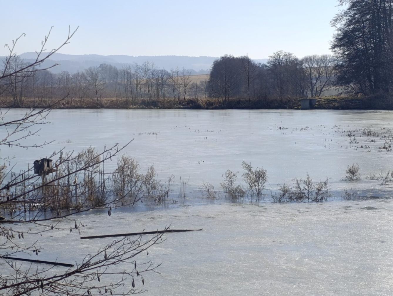 broučci a sovičky: „cestou necestou...“ - 56