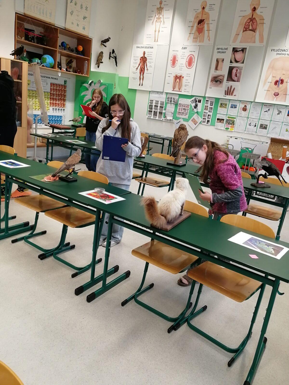 Poznávání přírodnin a minerálů - 6