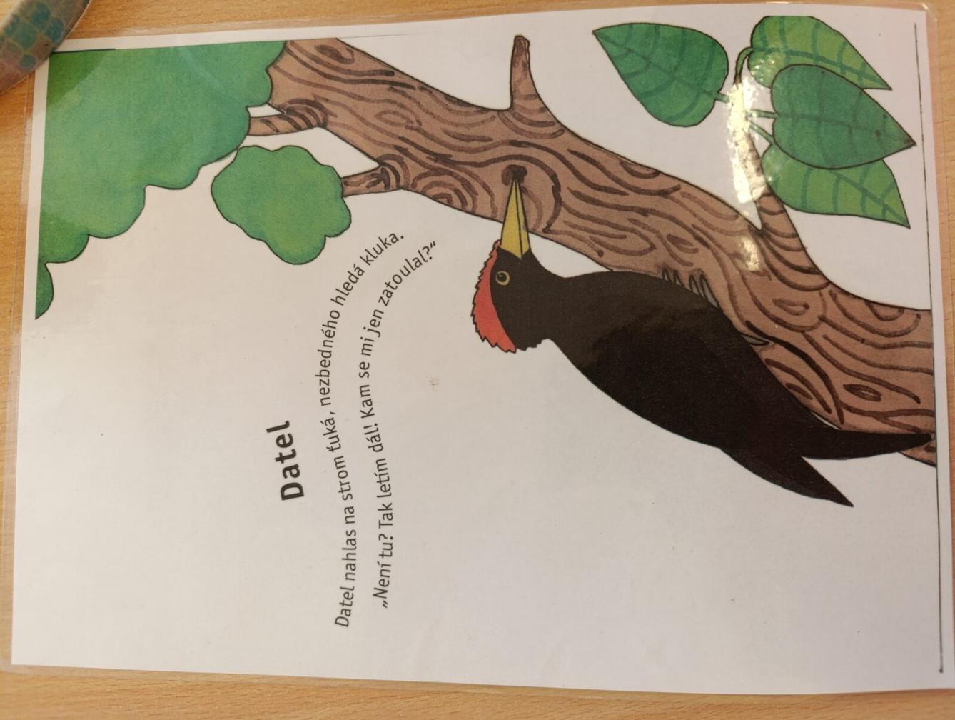 vzdělávací program v mš - ptáci - 35