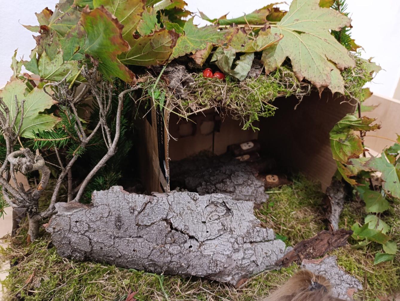 Broučci: poznáváme les - 34