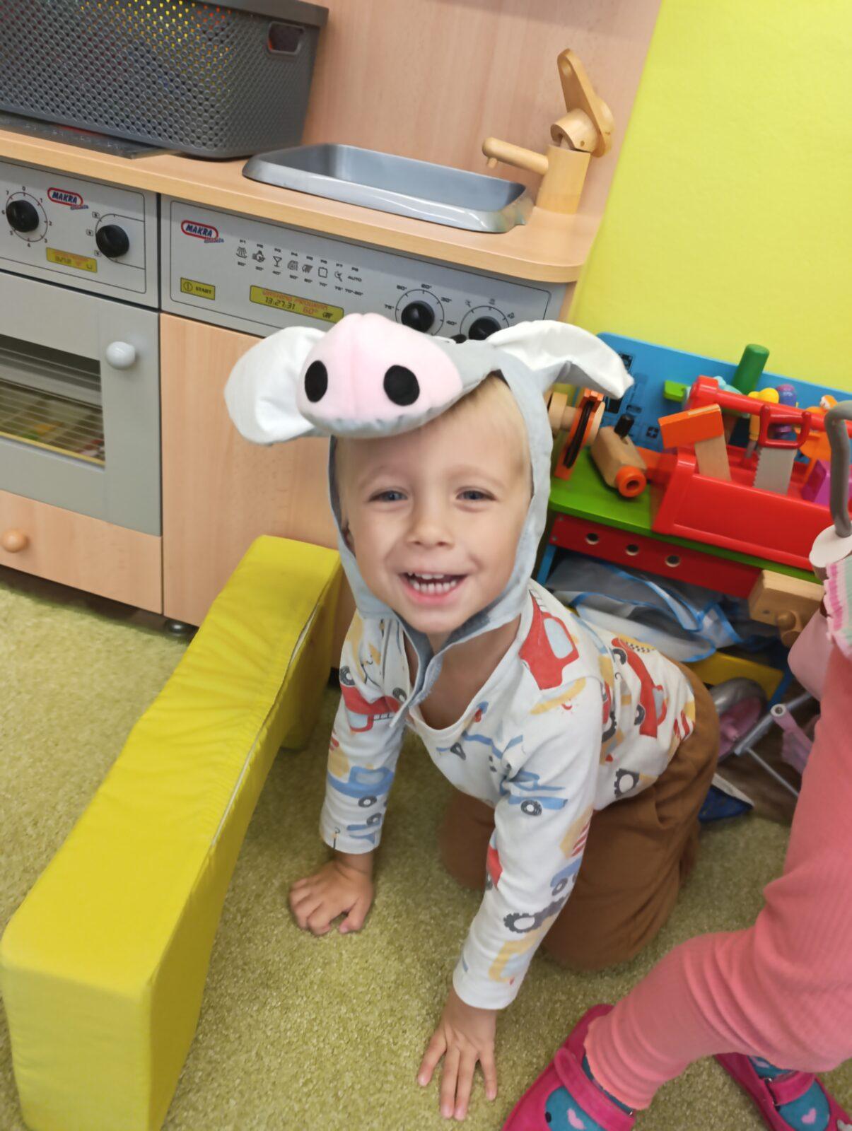 Broučci: poznáváme les - 48