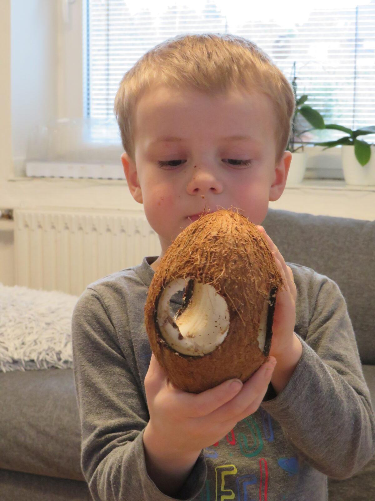 Krmítka pro ptáčky :-) - 52