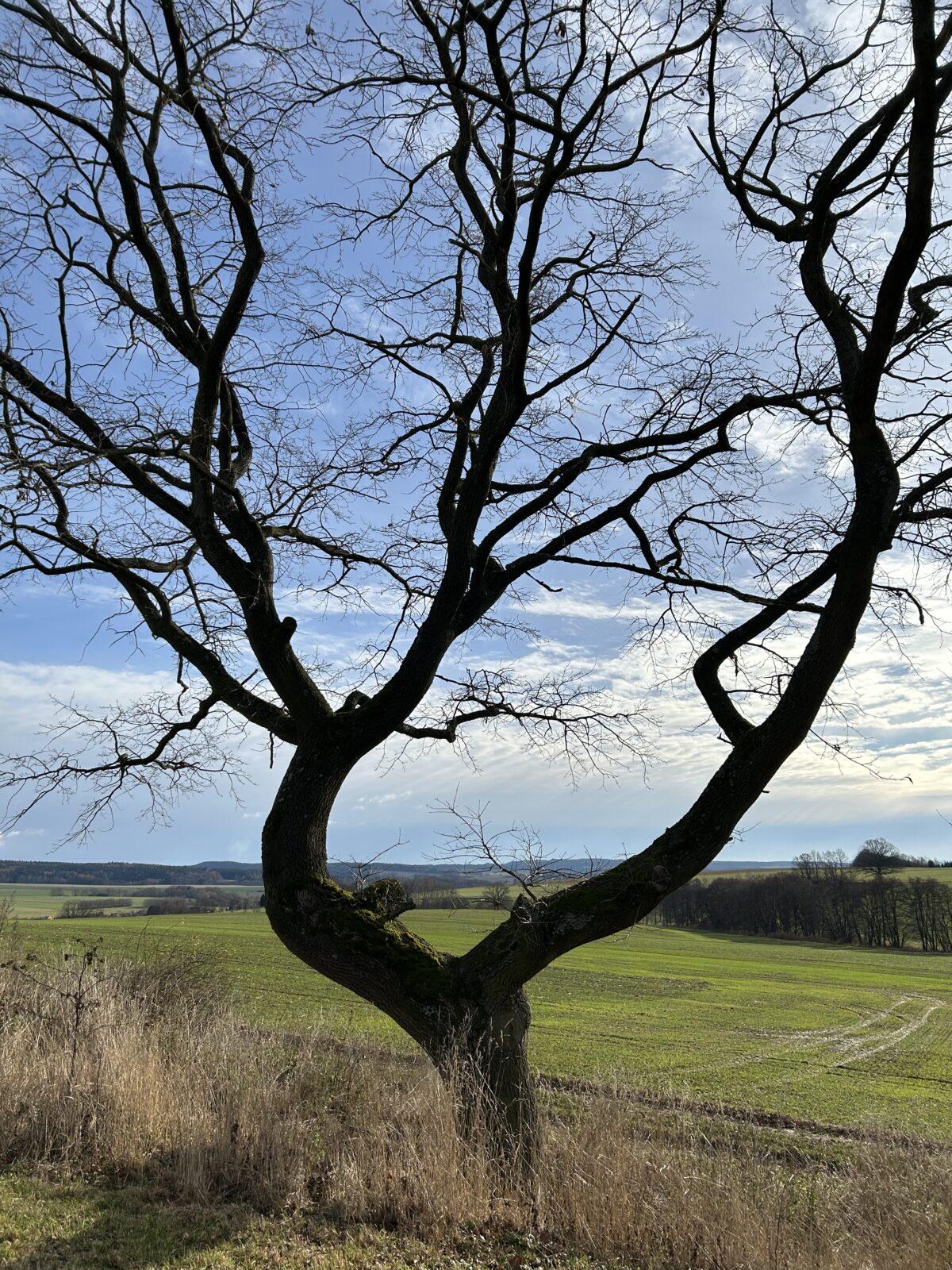 SOVIČKY: KDE ŽIJEME - 37