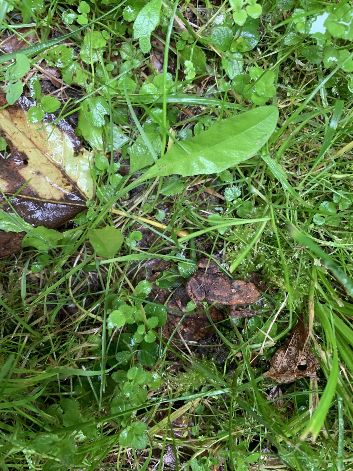 Adaptační kurz- den třetí - 6