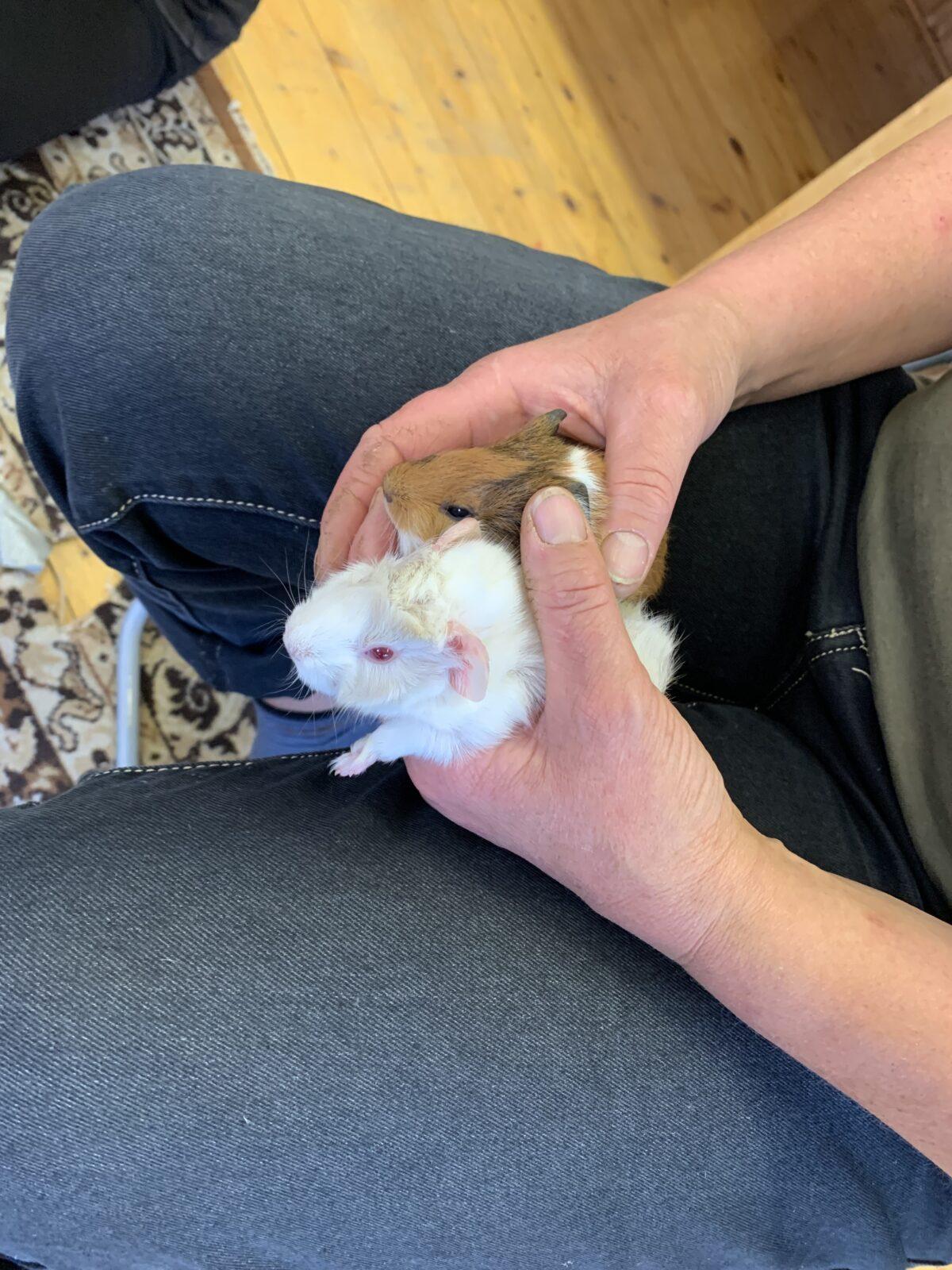 Adaptační kurz - den poslední - 2