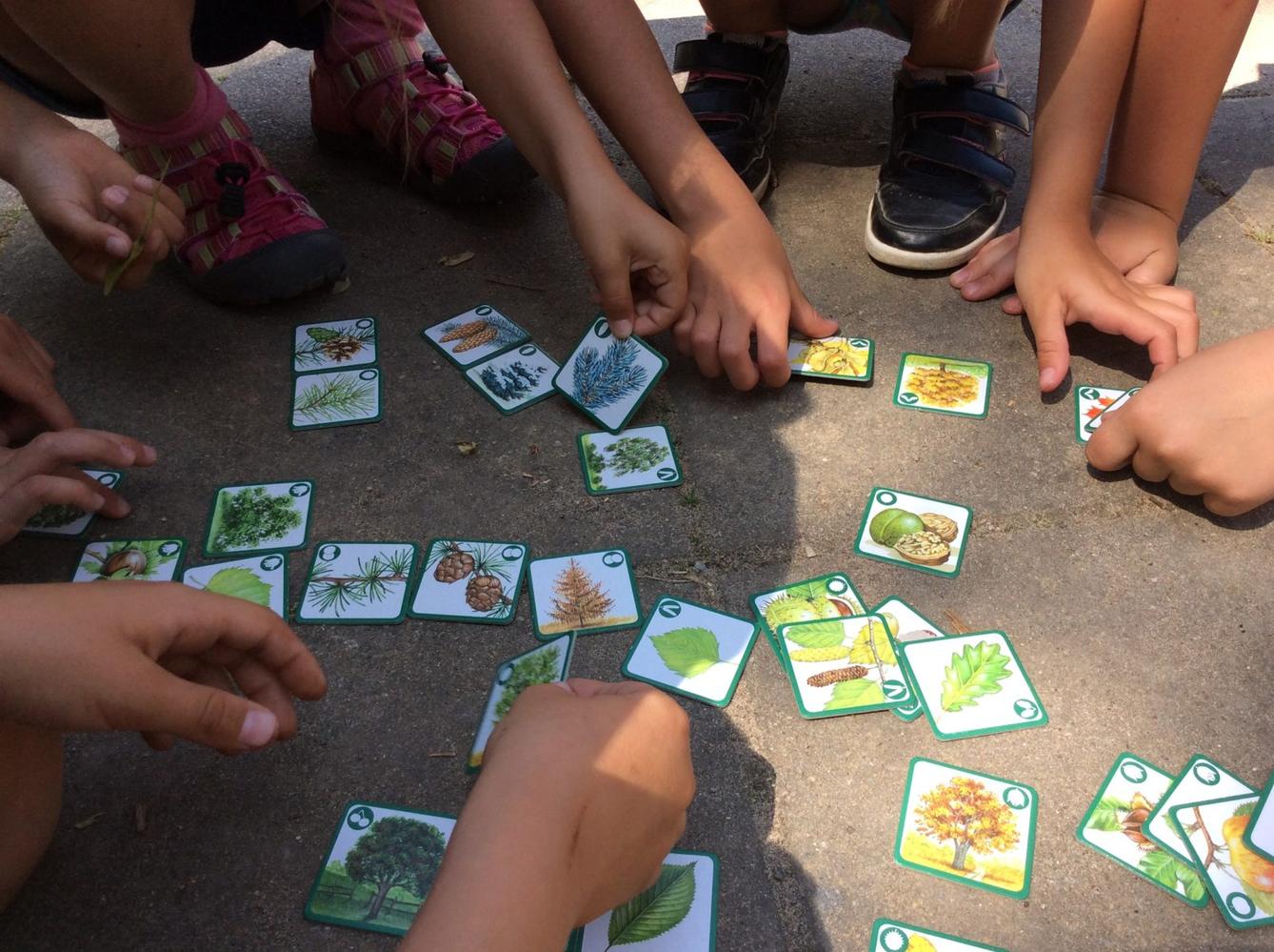 SVÁTEK  STROMŮ - 17