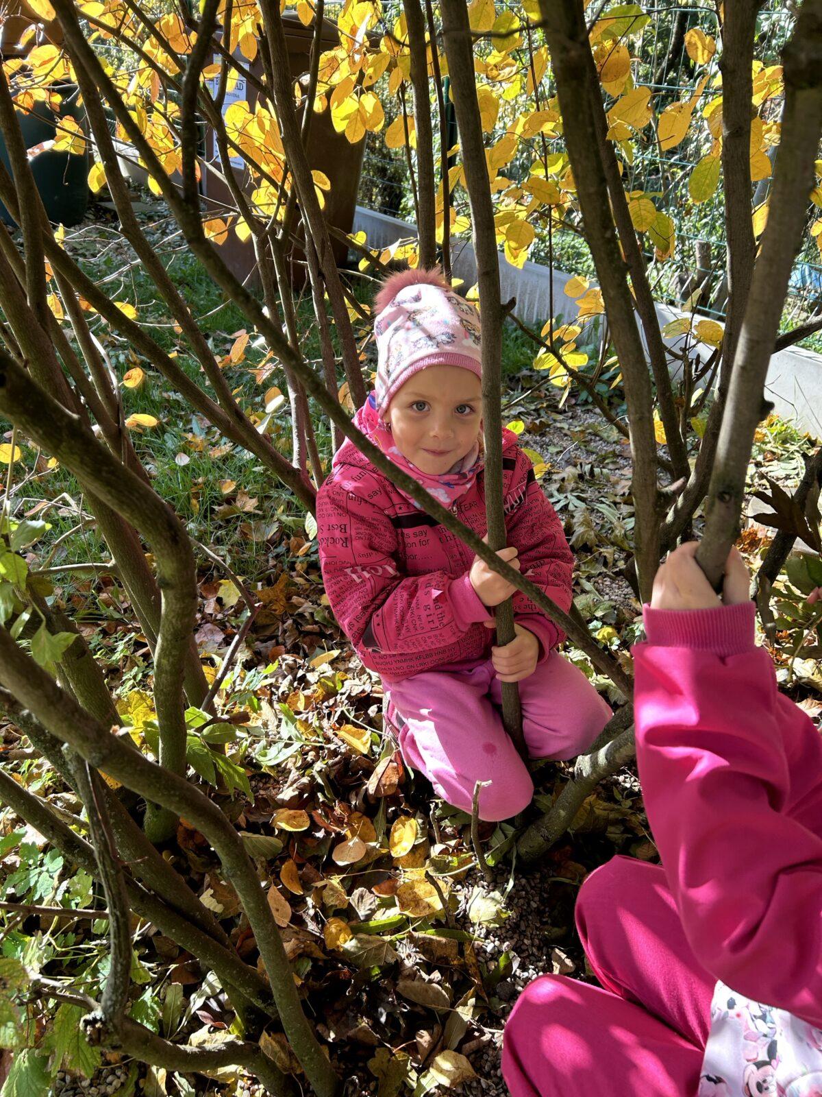 SOVIČKY: LISTÍ ŽLOUTNE, POLETUJE - 4