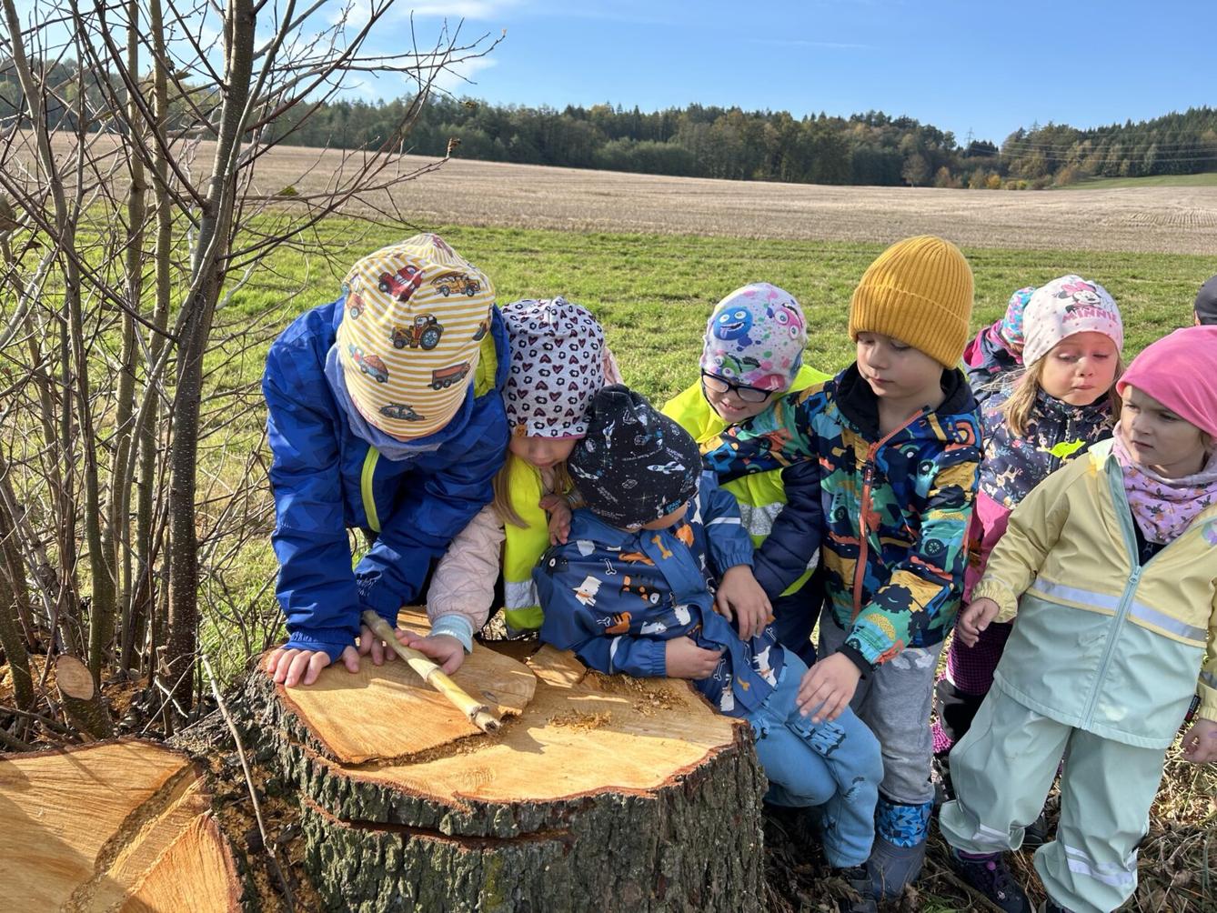 SOVIČKY: LESNÍ HRÁTKY SE ZVÍŘÁTKY - 37