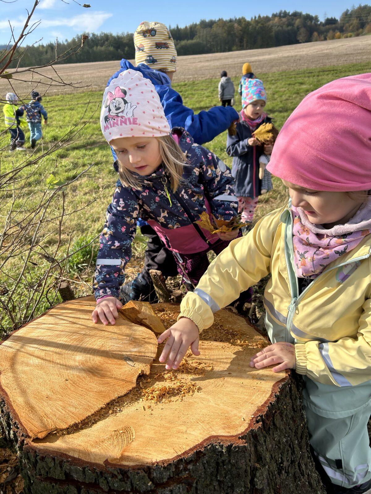 SOVIČKY: LESNÍ HRÁTKY SE ZVÍŘÁTKY - 38