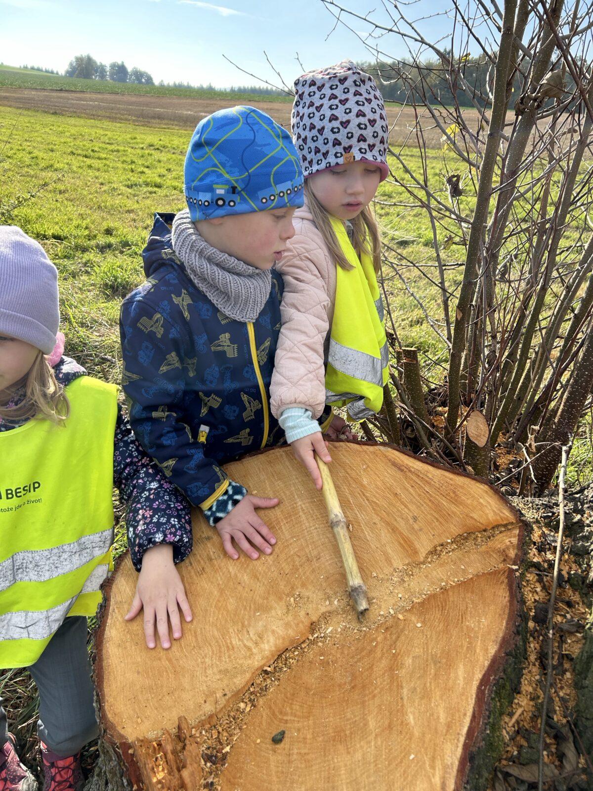 SOVIČKY: LESNÍ HRÁTKY SE ZVÍŘÁTKY - 39