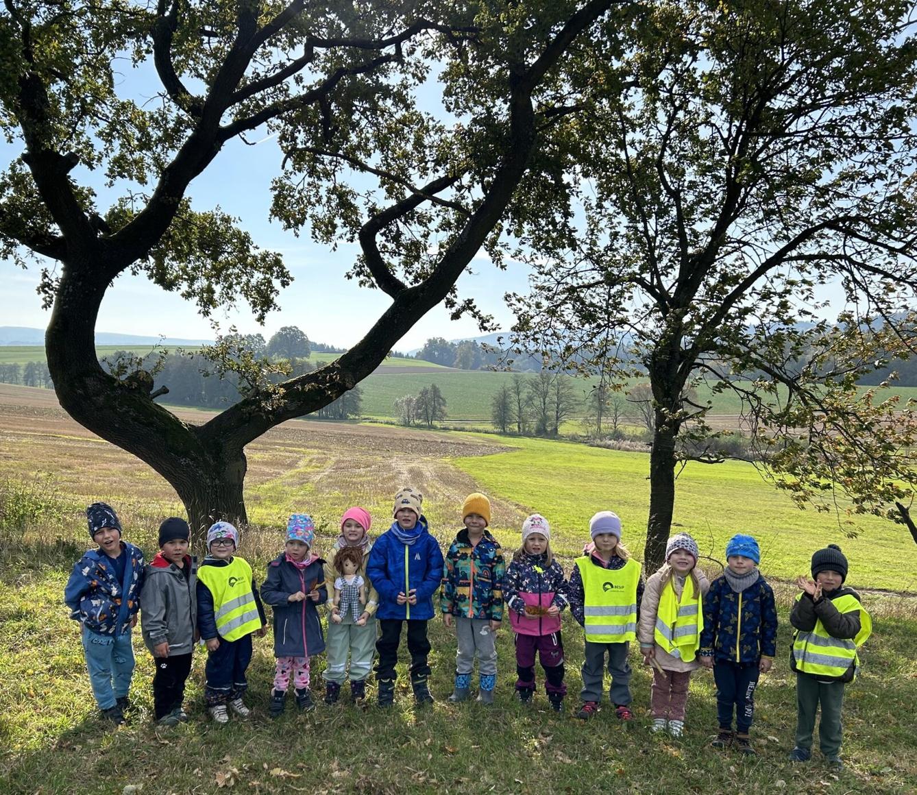 SOVIČKY: LISTÍ ŽLOUTNE, POLETUJE - 13