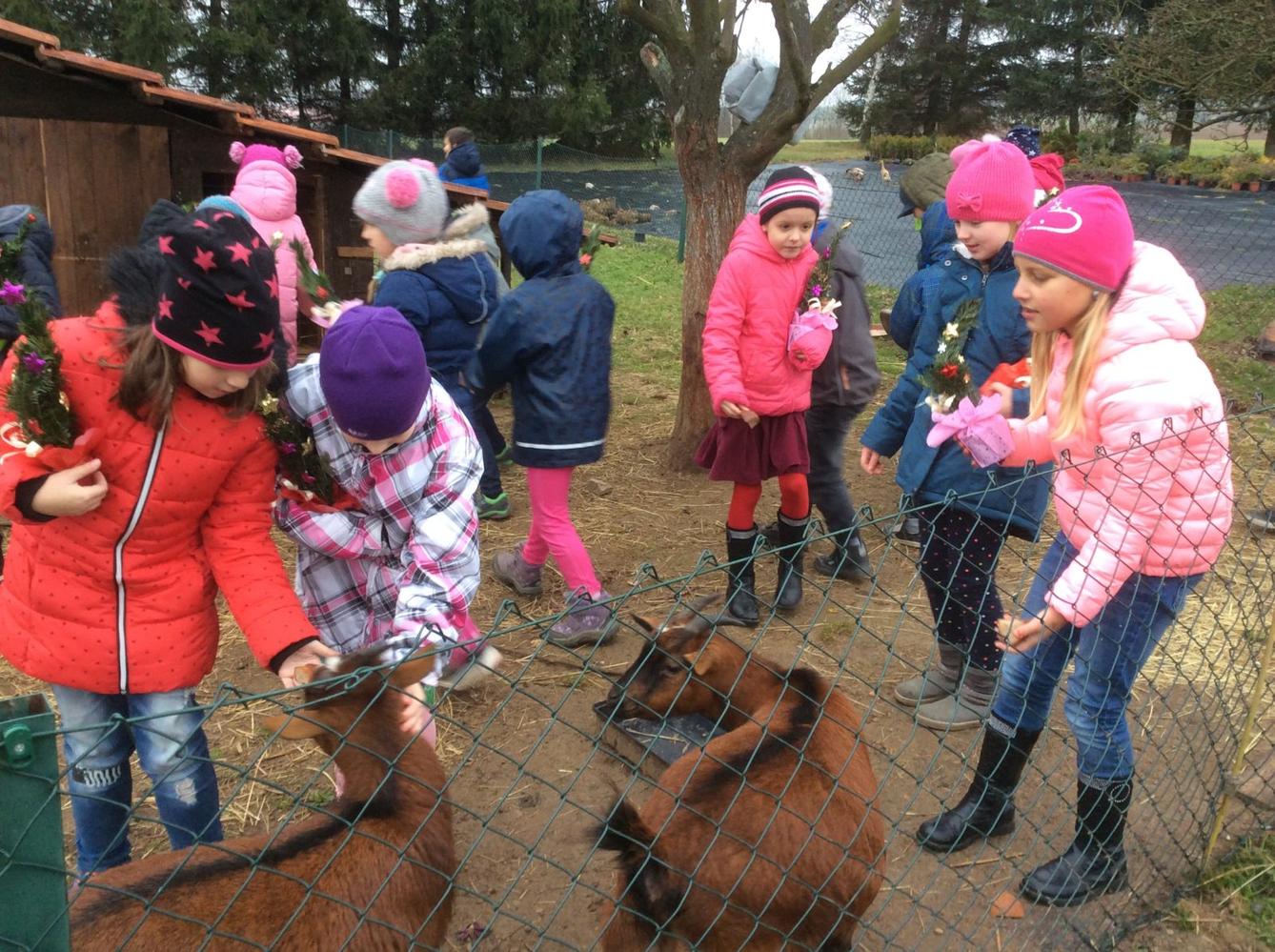 listopad I. oddělení - 12