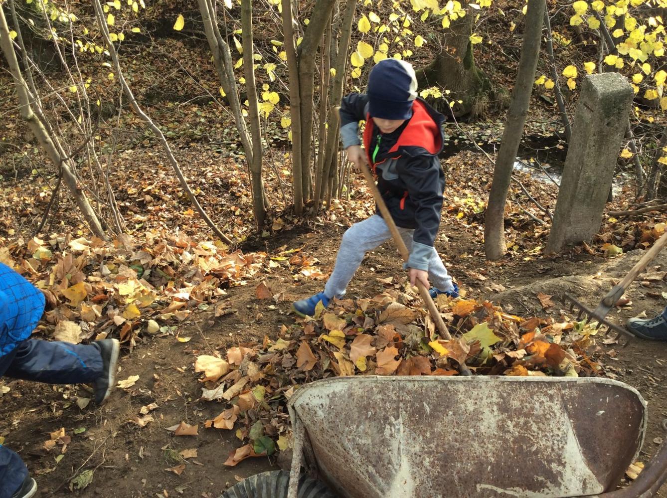 II. oddělení LISTOPAD - 25