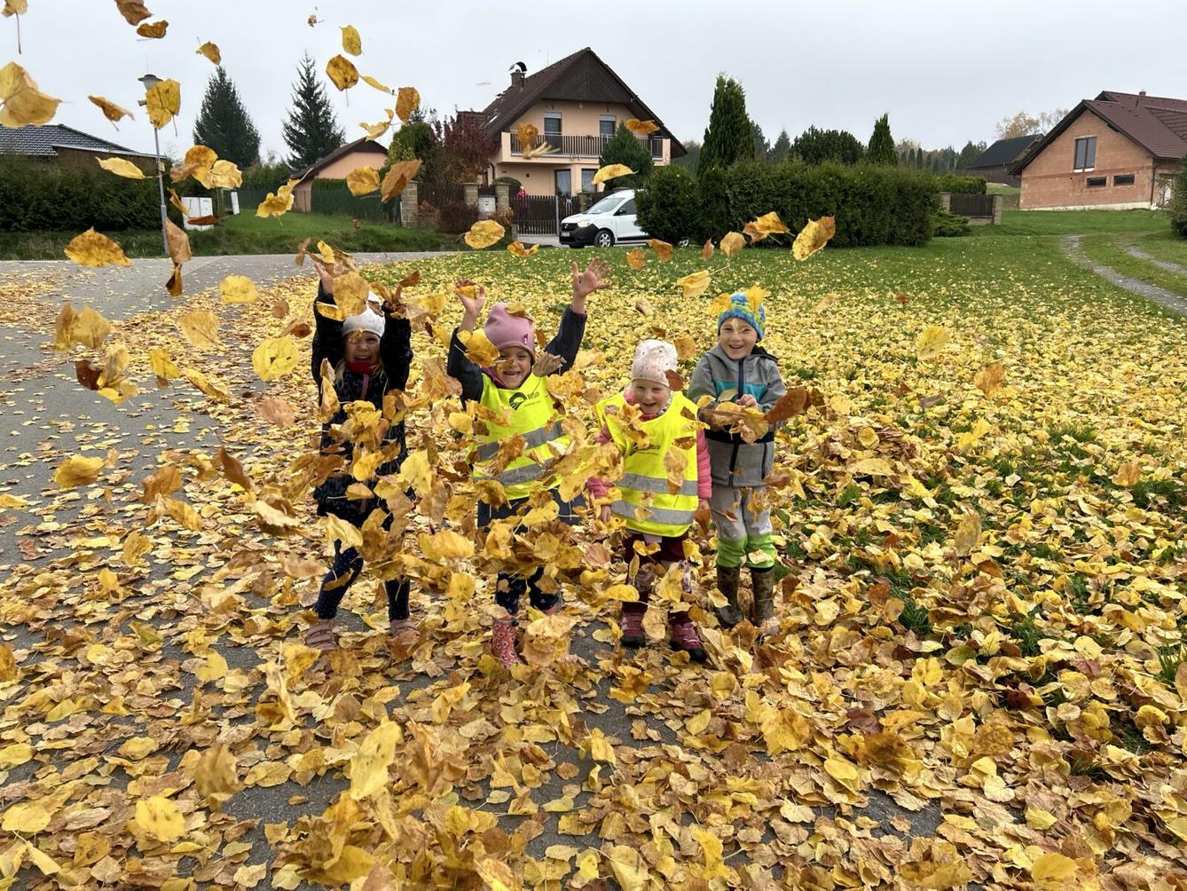 SOVIČKY: LISTÍ ŽLOUTNE, POLETUJE - 50