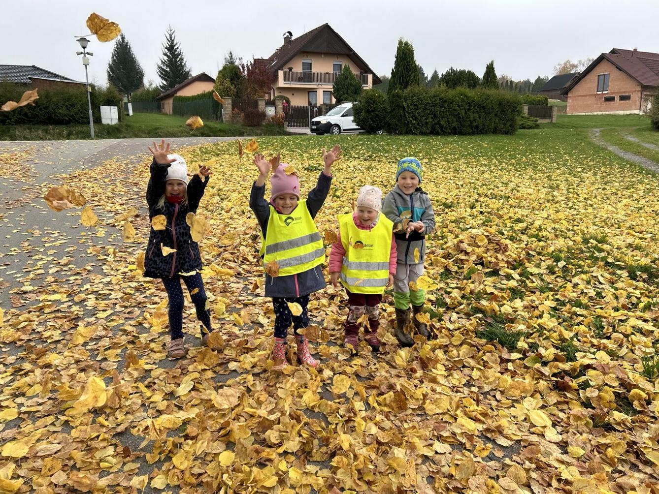 SOVIČKY: LISTÍ ŽLOUTNE, POLETUJE - 51