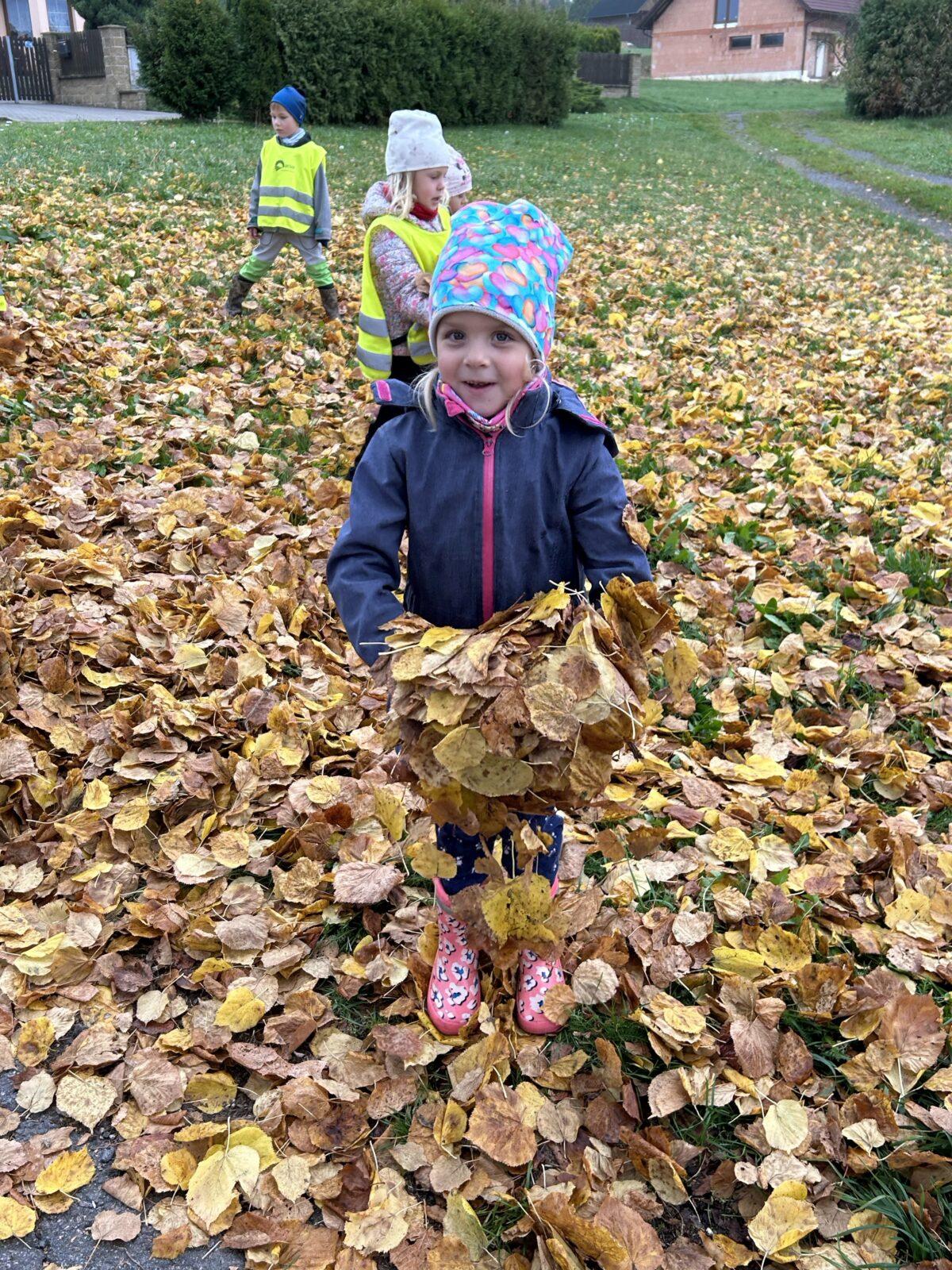 SOVIČKY: LISTÍ ŽLOUTNE, POLETUJE - 58