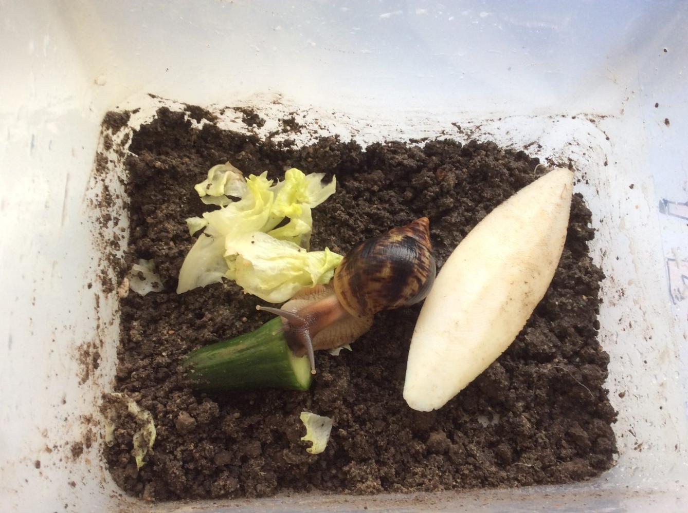 Leden I. oddělení - 14