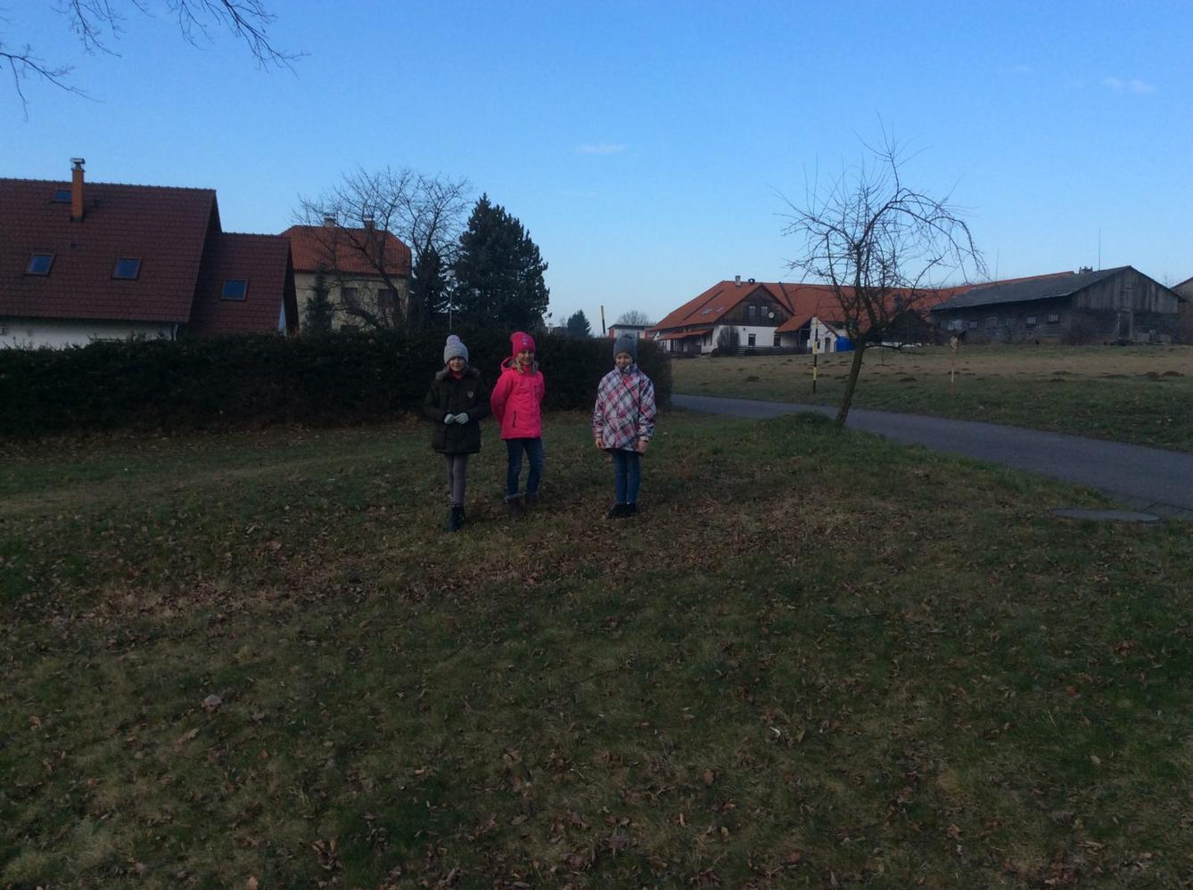 II. oddělení  LEDEN - 3