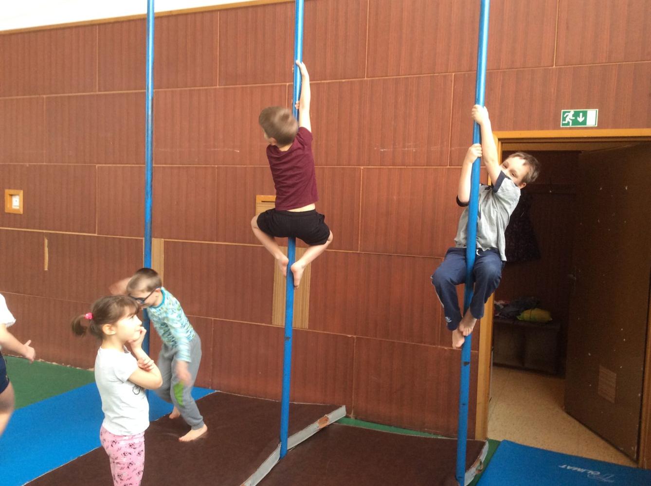 II. oddělení  LEDEN - 6