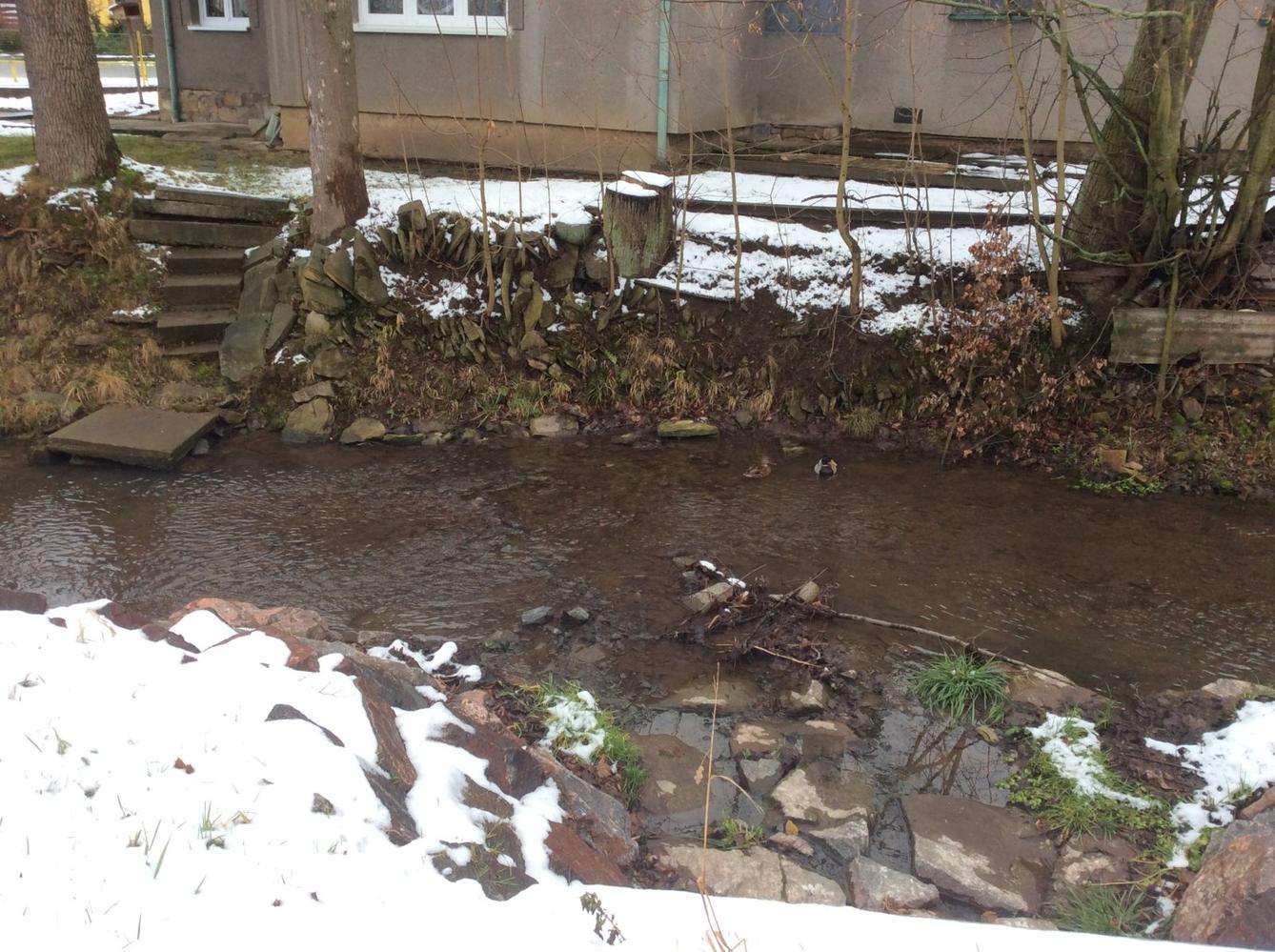 II. oddělení  LEDEN - 8