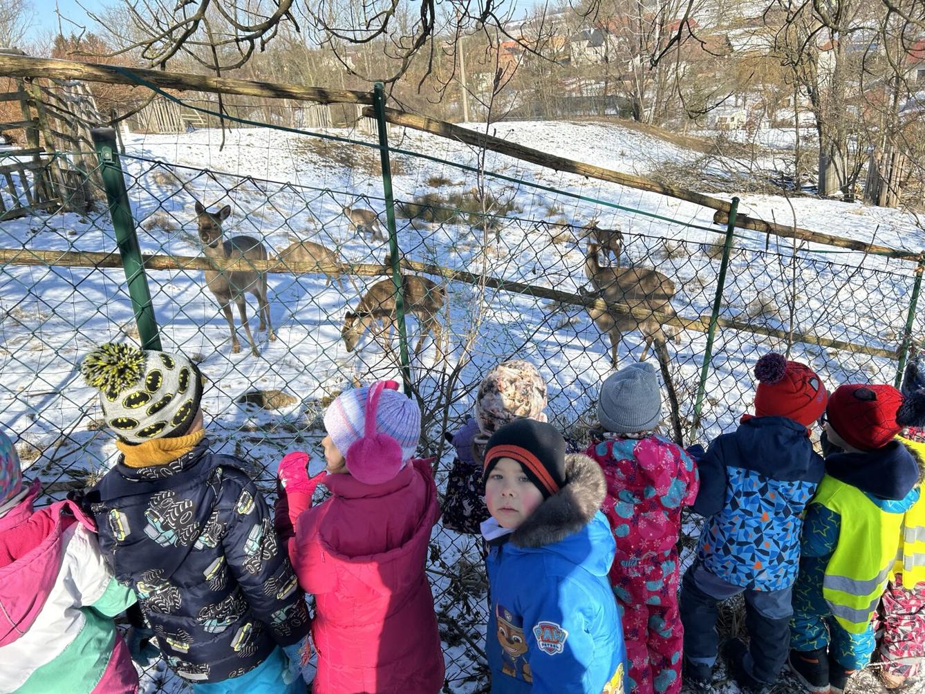 SOVIČKY: ZIMA NÁM NEVADÍ - 17