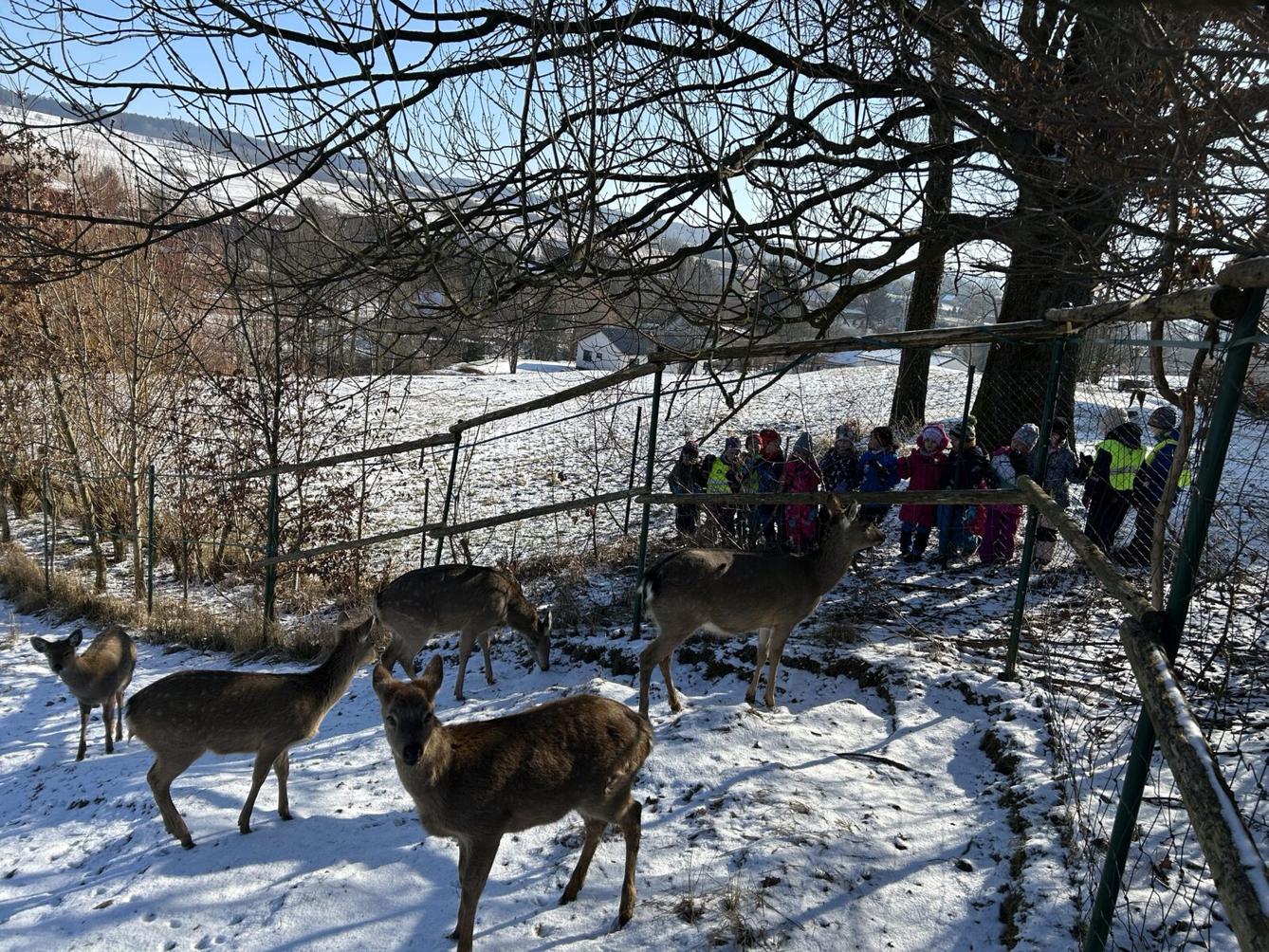 SOVIČKY: ZIMA NÁM NEVADÍ - 18