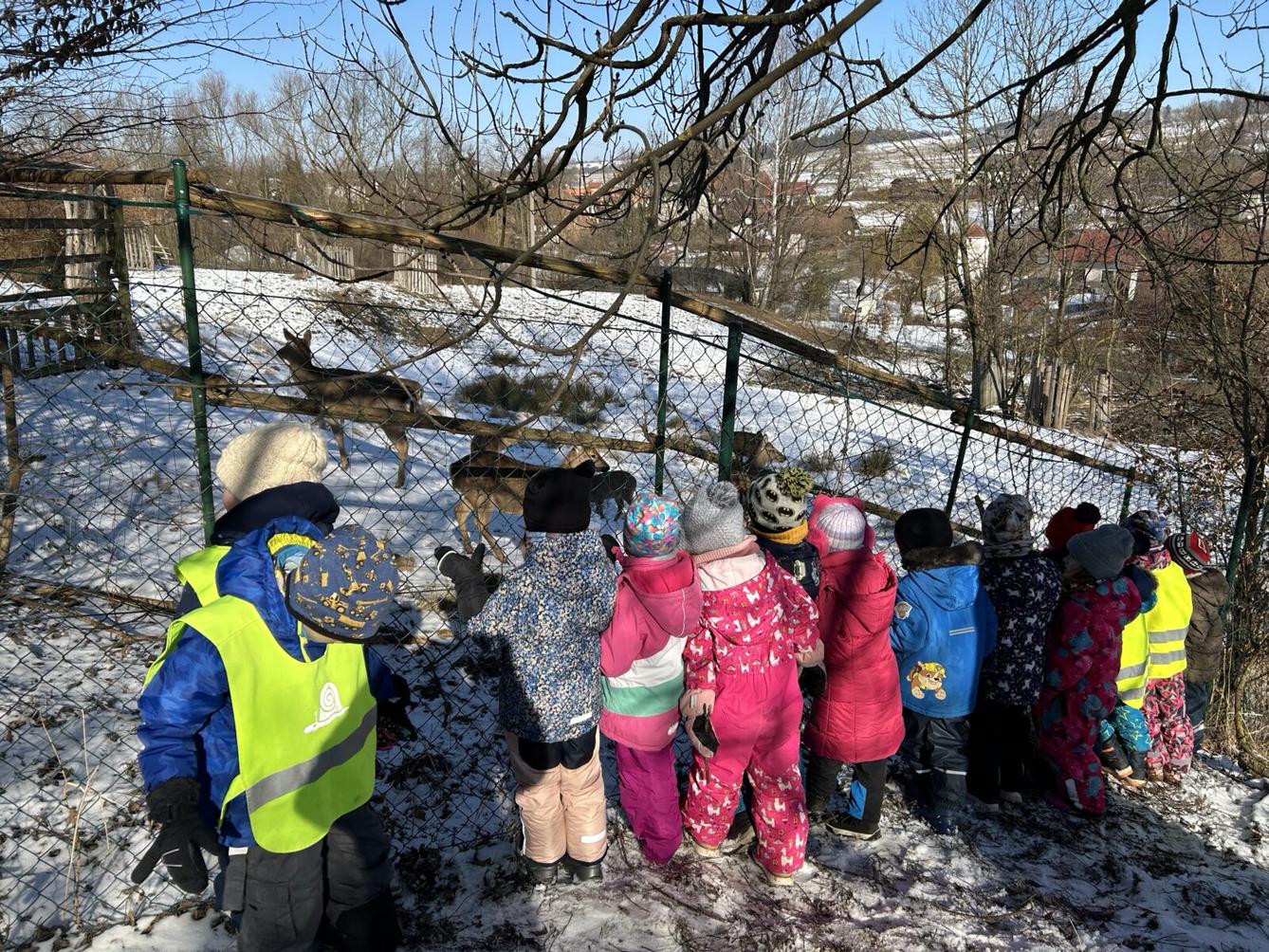 SOVIČKY: ZIMA NÁM NEVADÍ - 19