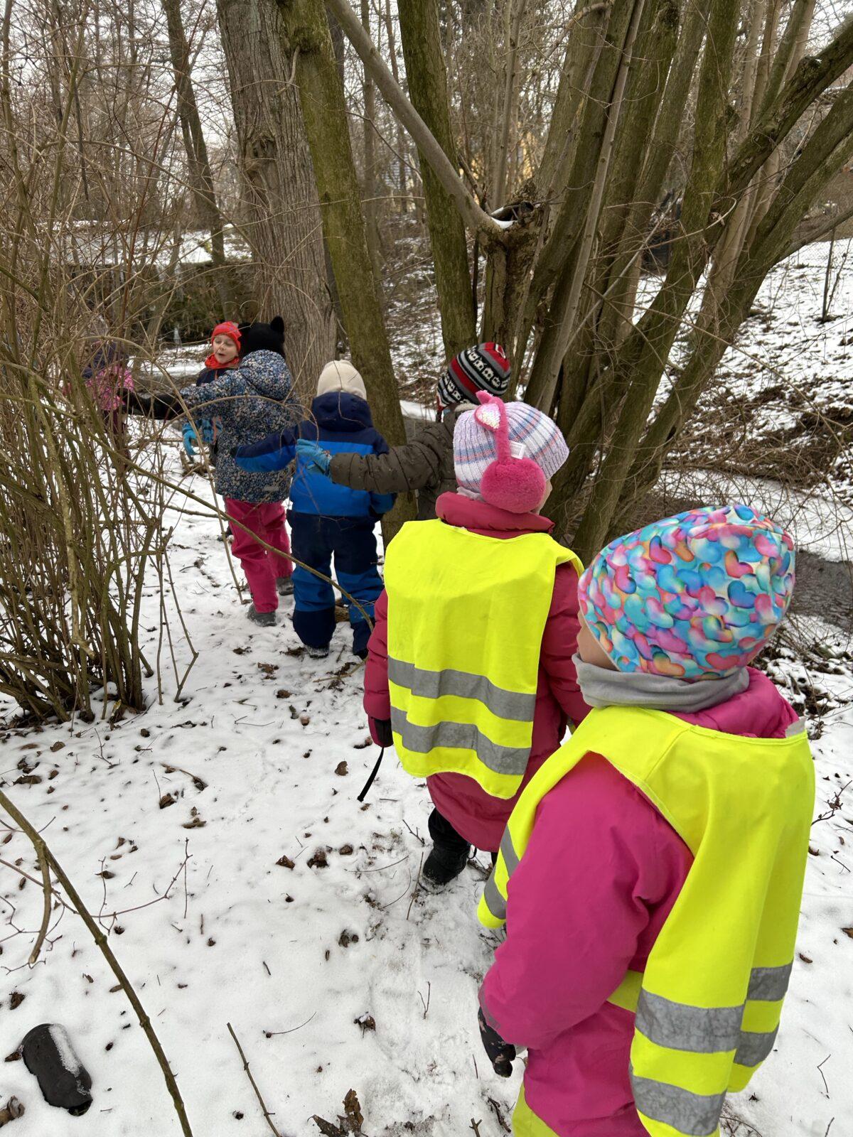 SOVIČKY: KOLOBĚH VODY V PŘÍRODĚ - 3