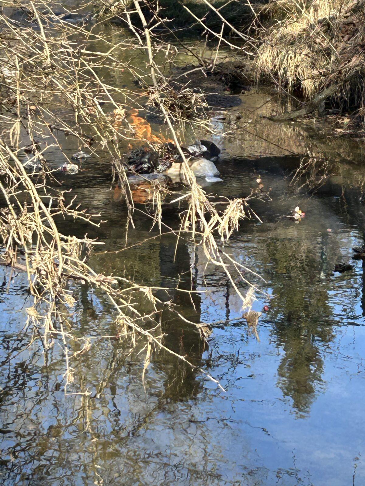 VYNÁŠENÍ MORENY - 25