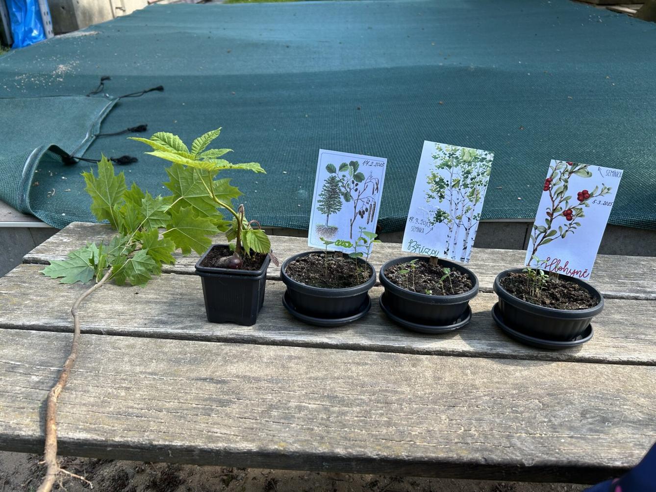 MOMENTKY ZE ŠKOLKY - 45