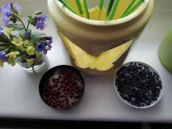 Domškoláctví u prvňáků - 31