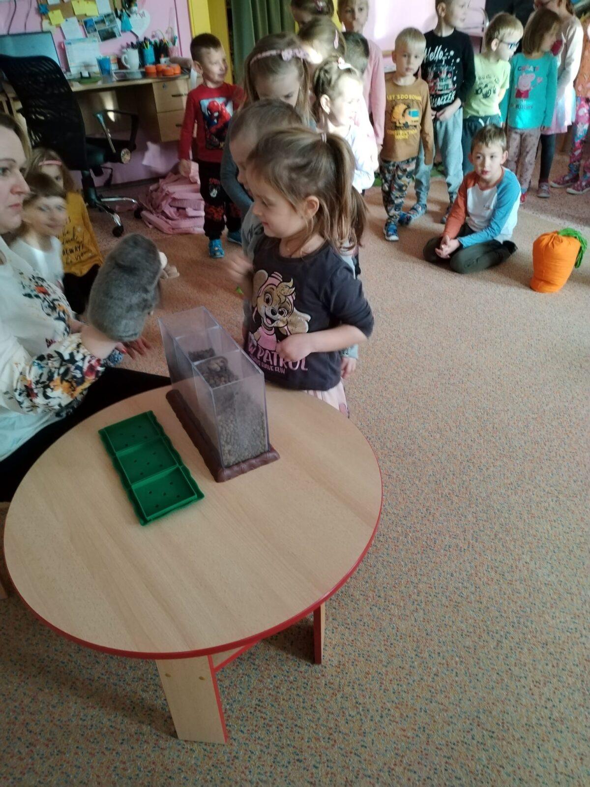 Vzdělávací program "Krteček" :-) - 17