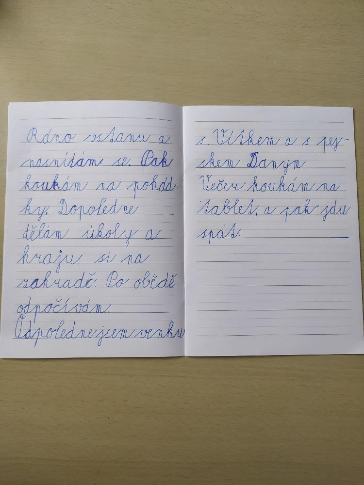 Domškoláctví u prvňáků - 17