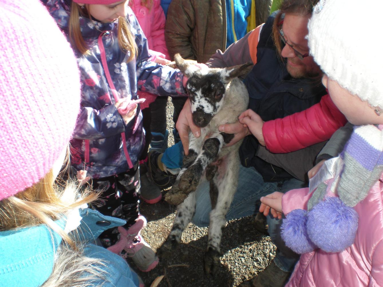 Výprava druháčků za jehňaty - 8