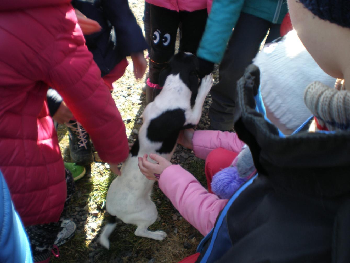 Výprava druháčků za jehňaty - 11