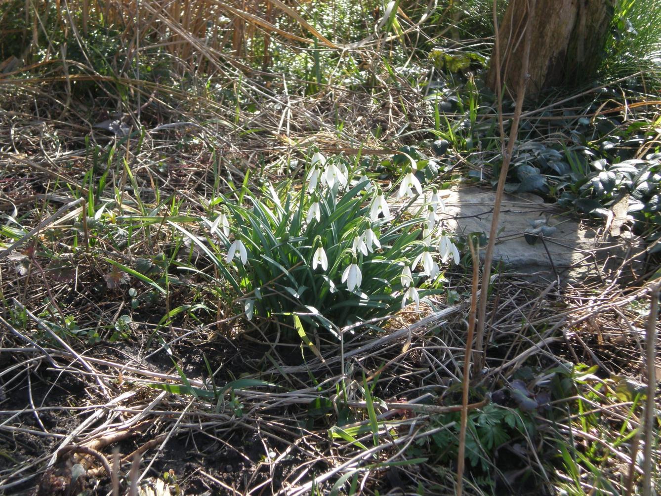 Výprava druháčků za jehňaty - 15