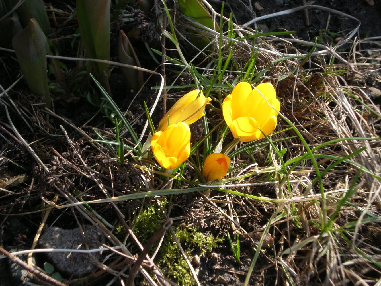 Výprava druháčků za jehňaty - 16