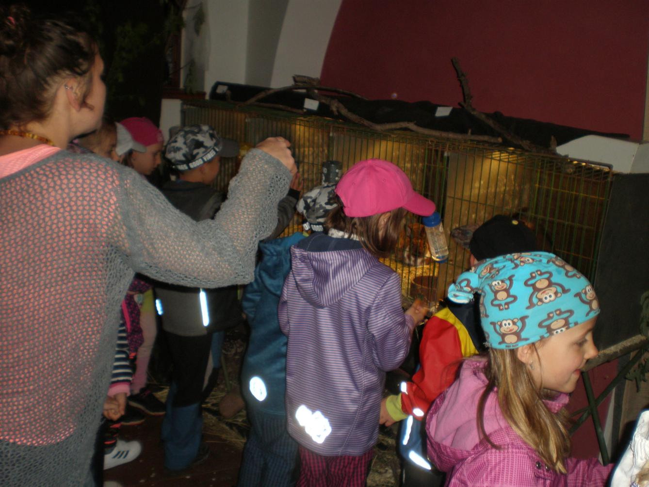 Výlet 1. třídy do Potštejna - 9