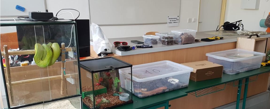 Přednáška o exotických zvířatech - 8