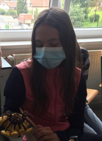 Přednáška o exotických zvířatech - 15