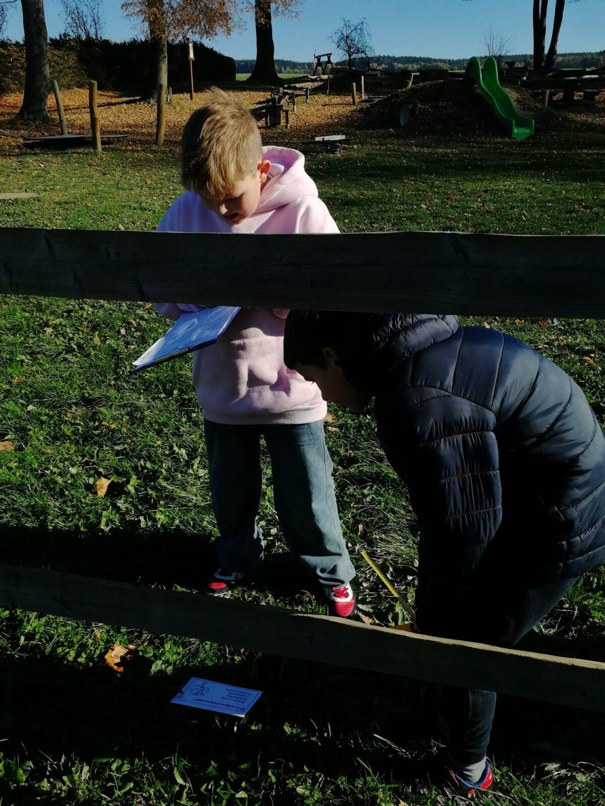 Projekt DEN STROMŮ - 2