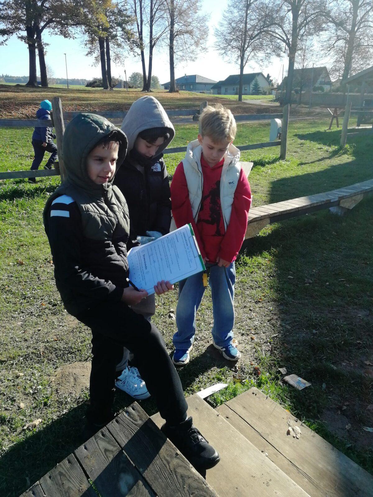 Projekt DEN STROMŮ - 3