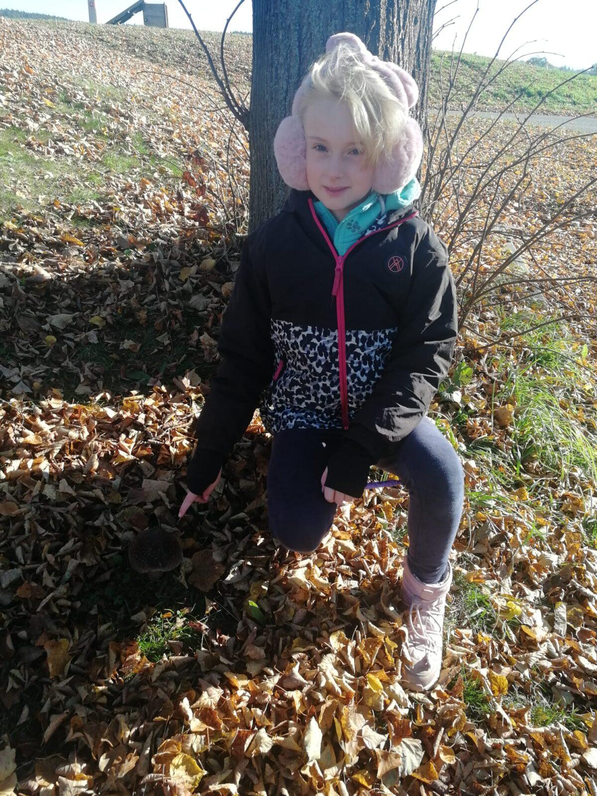 Projekt DEN STROMŮ - 4