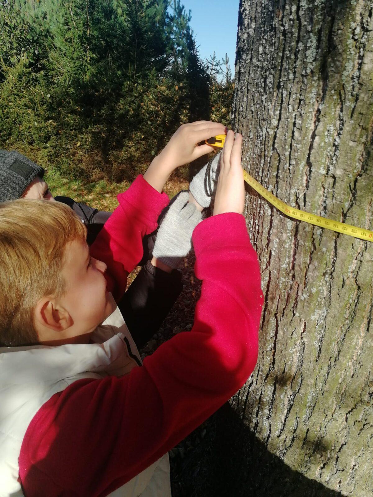 Projekt DEN STROMŮ - 7